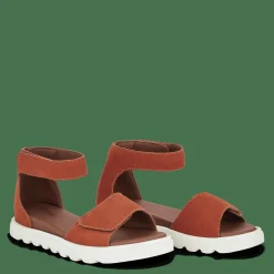 City><noscript><img width=