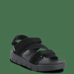 City><noscript><img width=